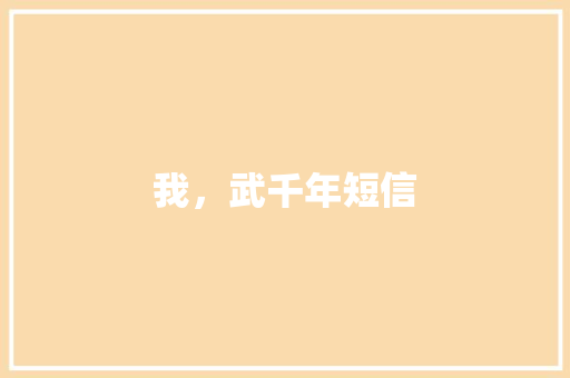 我，武千年短信