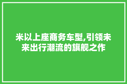 米以上座商务车型,引领未来出行潮流的旗舰之作 汽车知识
