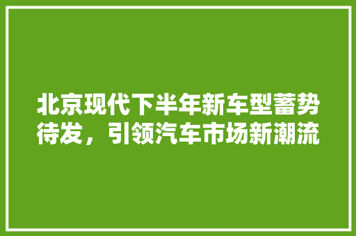 北京现代下半年新车型蓄势待发，引领汽车市场新潮流 汽车知识