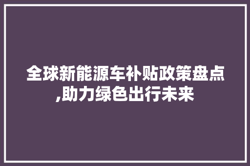 全球新能源车补贴政策盘点,助力绿色出行未来 汽车知识