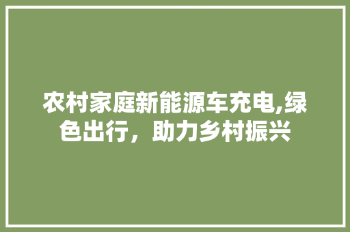农村家庭新能源车充电,绿色出行，助力乡村振兴 汽车知识