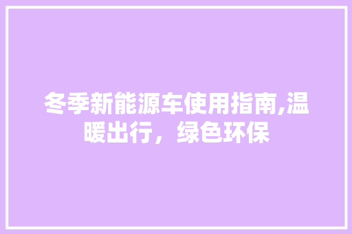 冬季新能源车使用指南,温暖出行，绿色环保 汽车知识