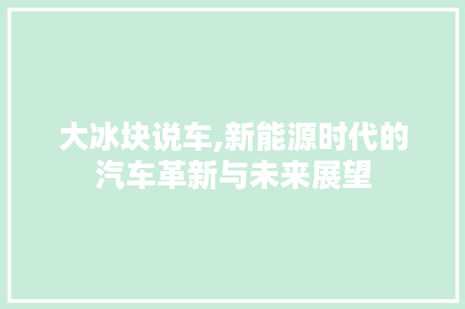 大冰块说车,新能源时代的汽车革新与未来展望 汽车知识