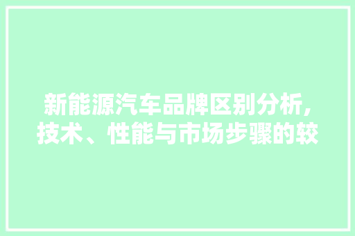 新能源汽车品牌区别分析,技术、性能与市场步骤的较量 汽车知识