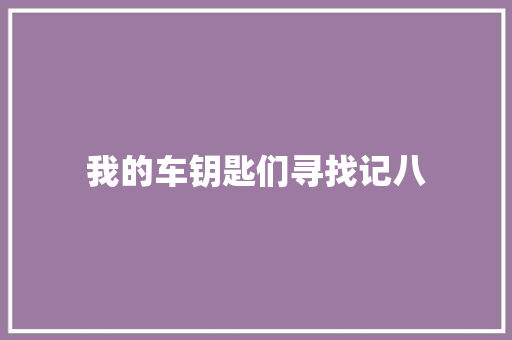 我的车钥匙们寻找记八 汽车知识