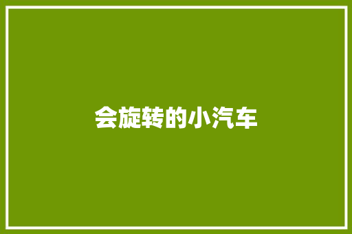 会旋转的小汽车
