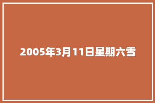 2005年3月11日星期六雪 知识百科