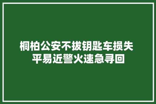 桐柏公安不拔钥匙车损失 平易近警火速急寻回 汽车知识