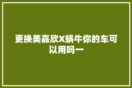 更换美嘉欣X蜗牛你的车可以用吗一 汽车知识