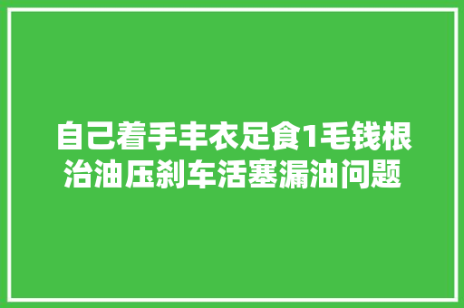 自己着手丰衣足食1毛钱根治油压刹车活塞漏油问题 汽车知识