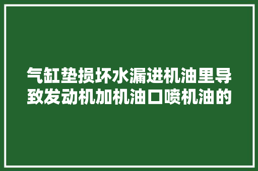 气缸垫损坏水漏进机油里导致发动机加机油口喷机油的故障案例 汽车知识