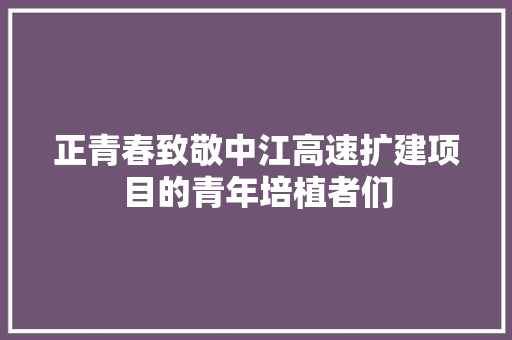 正青春致敬中江高速扩建项目的青年培植者们 汽车知识