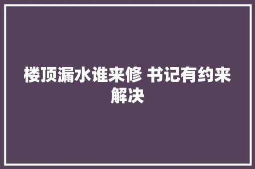 楼顶漏水谁来修 书记有约来解决 汽车知识